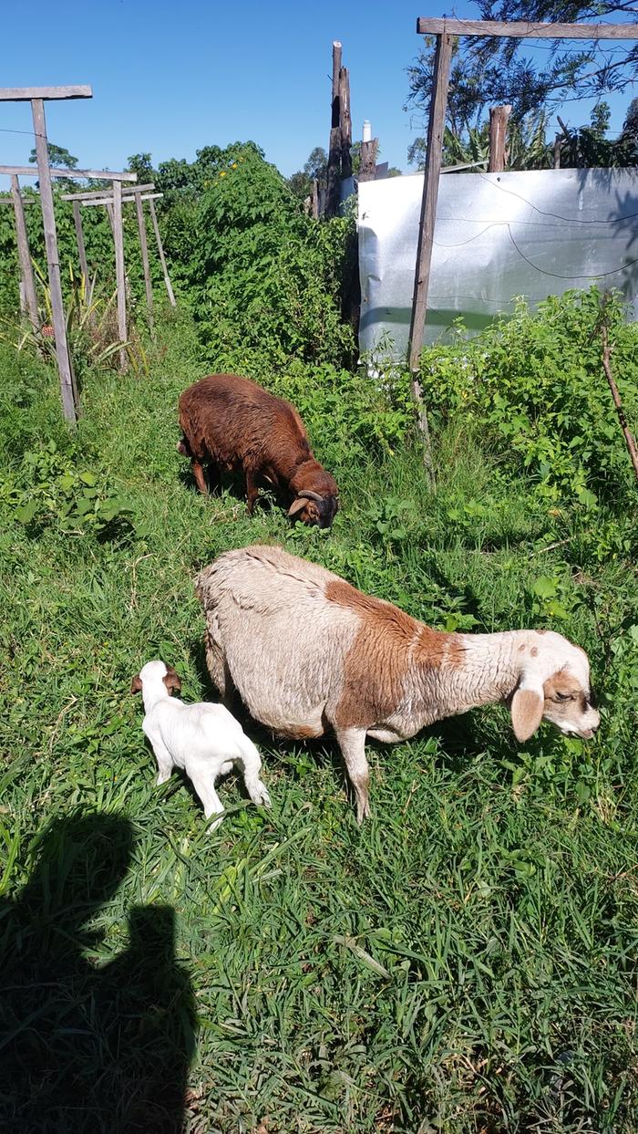 [Thumbnail for c0500fa0-daa9-426f-b18d-89089ab03154.jpeg]