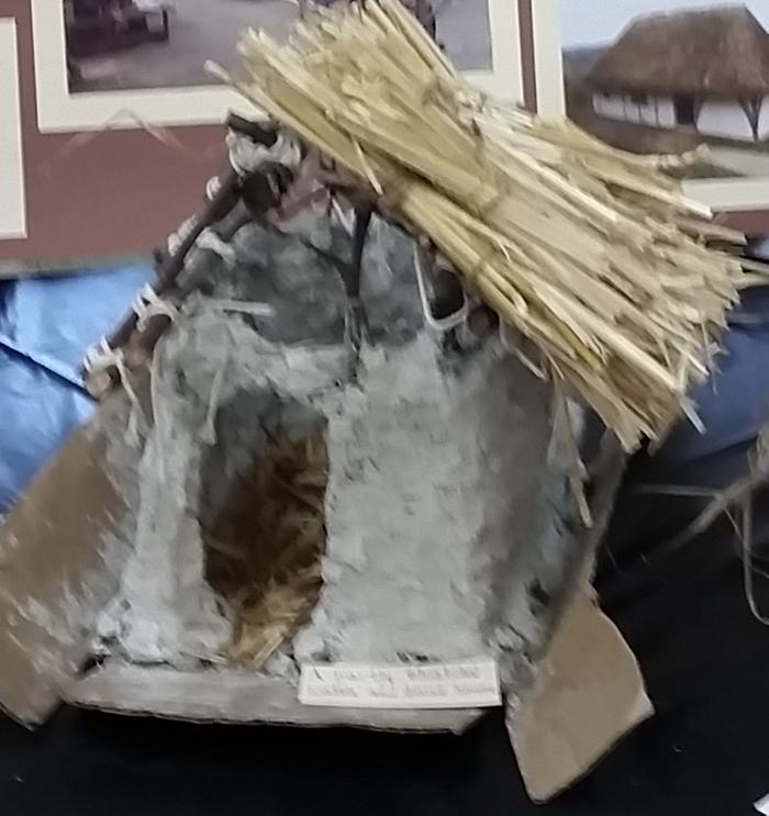Another blurry image of the A-frame roof made by lashing sticks together to make a framework. This was too hard for my kids!