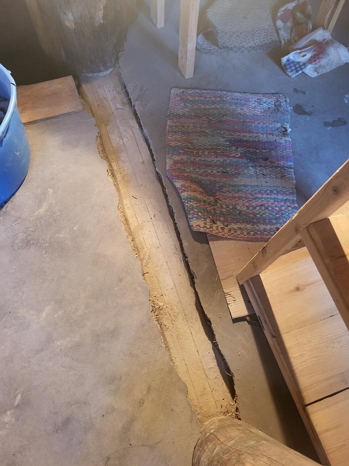 ... and with the damaged cob removed and exposing the deadman log below the damage.