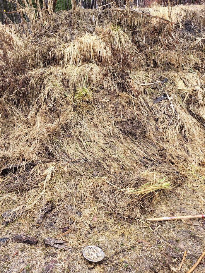 Start of my hugel...