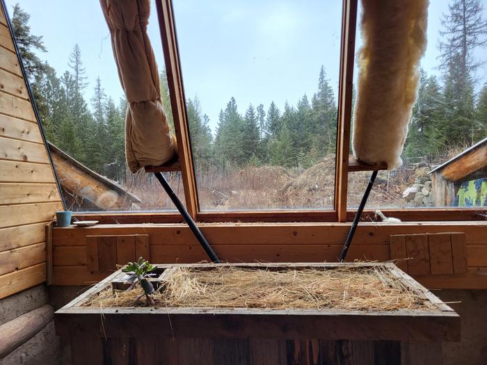 Additonal dirt and mulch added from the dry plant bits in the Greenhouse