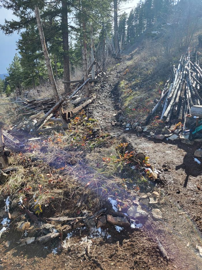 #Clear Complexity Trail