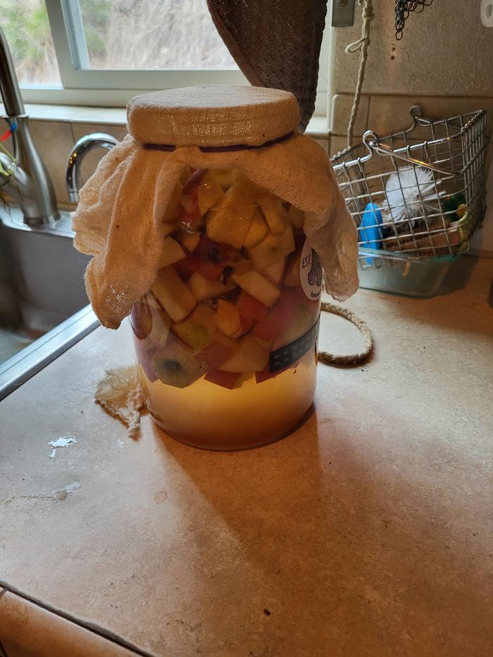 ... and the clock starts on the apple cider vinegar ferment.