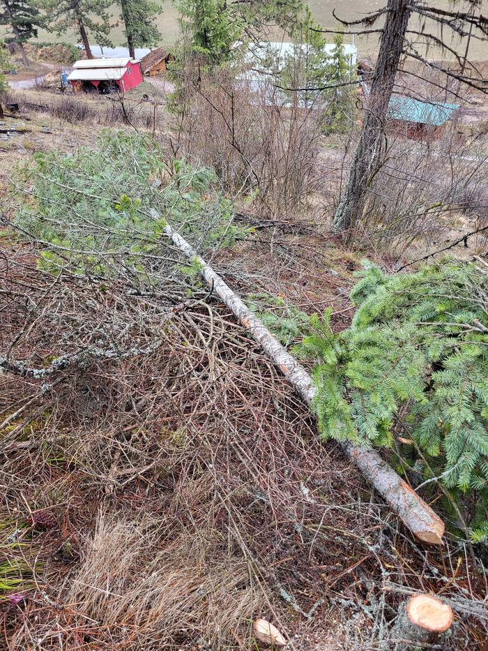 ...and it dropped exactly where I wanted :)