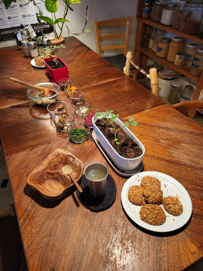 Spread made by Samantha and our SEPper -- yum!