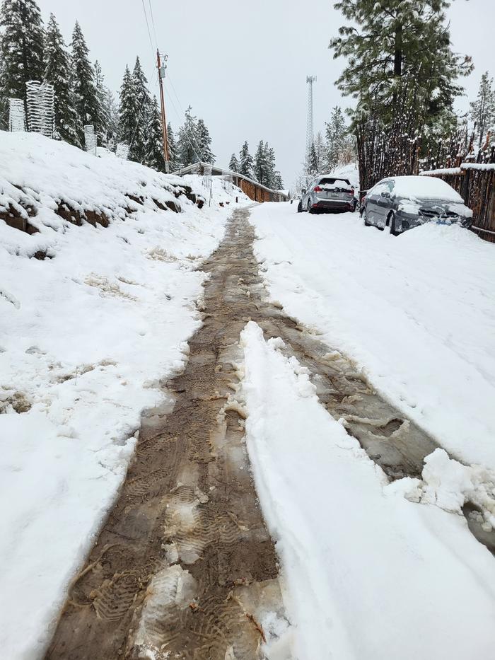 Snowy morning required lots of shoveling.