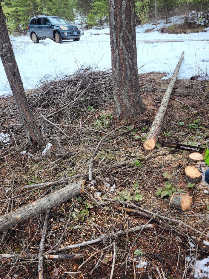 Downed trees for the Abbey Ant Village Gate.