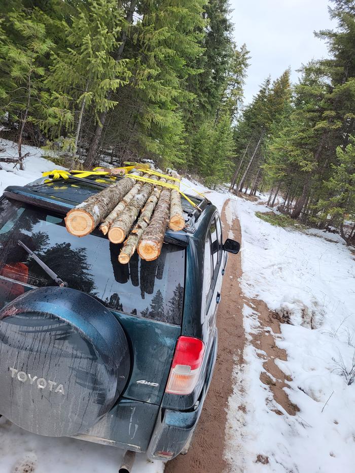 Logs loaded and headed back to Basecamp.