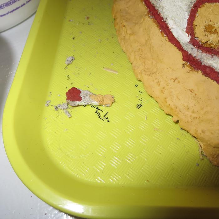 My little test piece. This side is red and yellow. The edge is white.