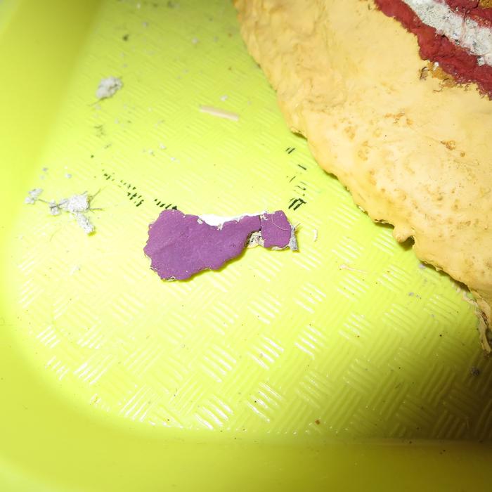 This side is all purple