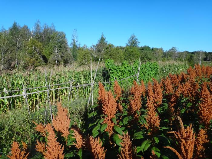 [Thumbnail for DSC09690.JPG]