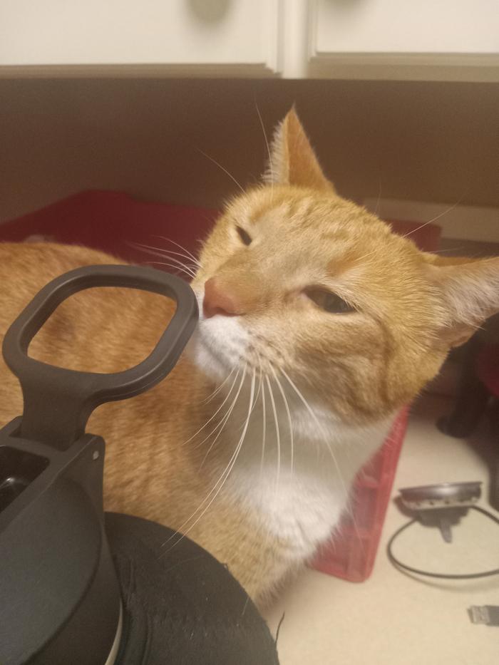 [Thumbnail for 20251207_233106.jpg]