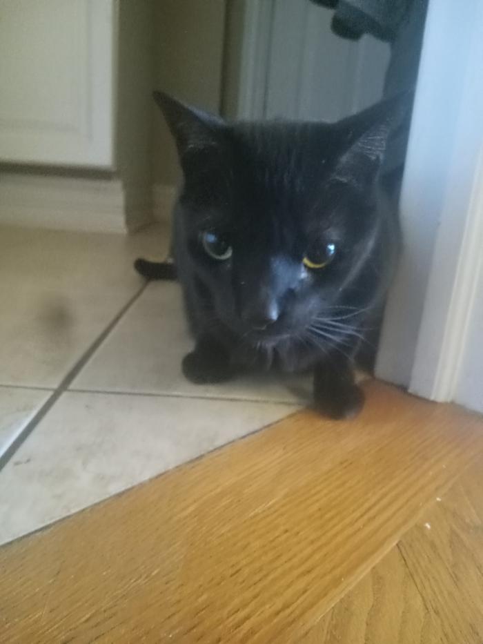 [Thumbnail for 20251223_075310.jpg]