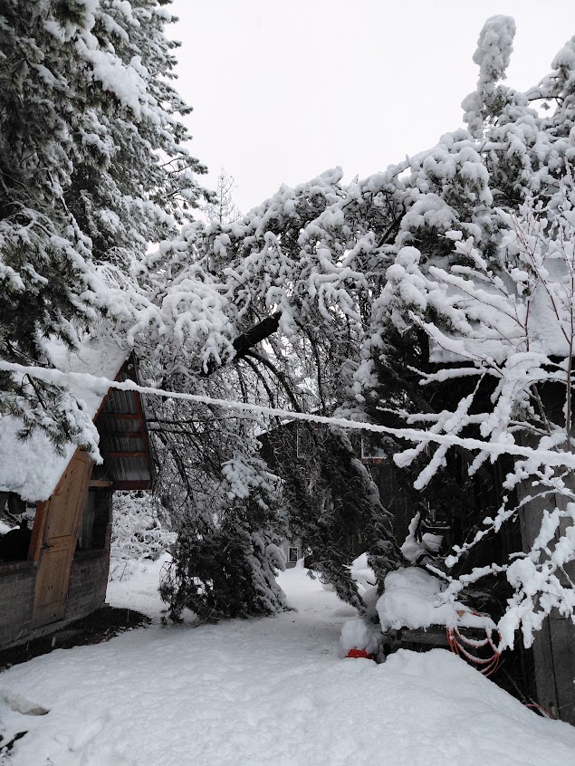 [Thumbnail for 20260314_080352.jpg]