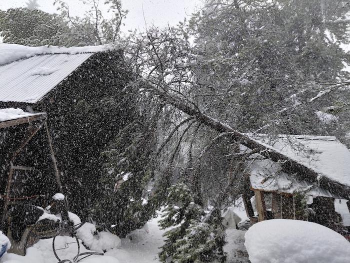 [Thumbnail for 20260314_140607.jpg]