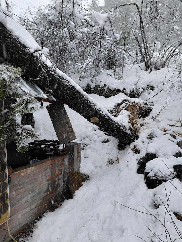 [Thumbnail for 20260314_140642.jpg]