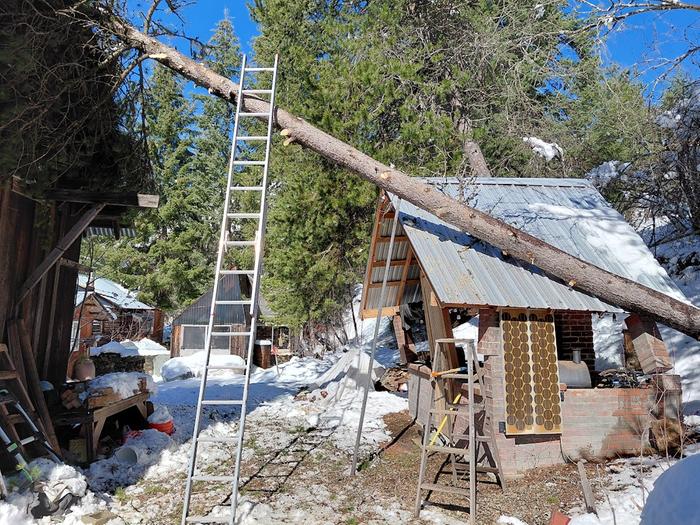 [Thumbnail for 20260315_143849.jpg]