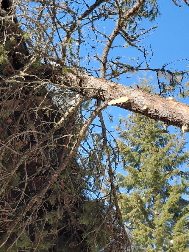 [Thumbnail for 20260315_143908.jpg]