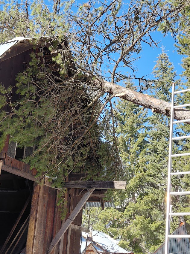 [Thumbnail for 20260315_143954.jpg]