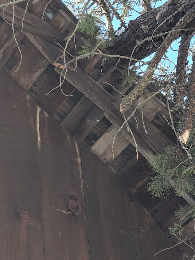 [Thumbnail for 20260315_155748.jpg]