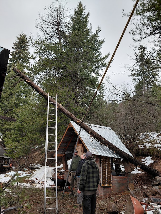 [Thumbnail for 20260319_115437.jpg]