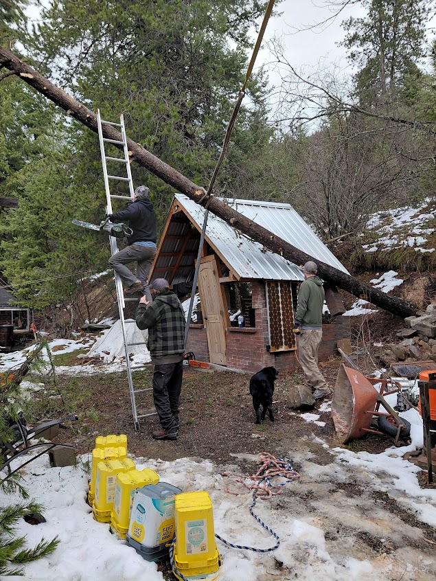 [Thumbnail for 20260319_115447.jpg]