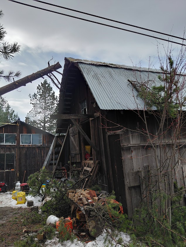 [Thumbnail for 20260319_115310.jpg]