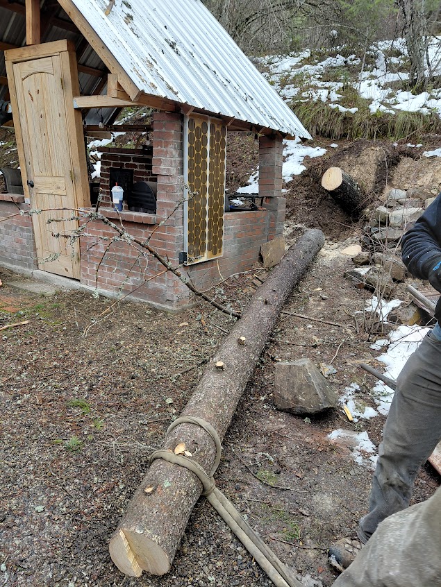 [Thumbnail for 20260319_120208.jpg]