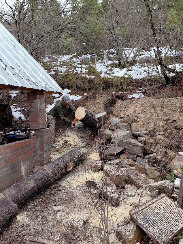 [Thumbnail for 20260319_120649.jpg]