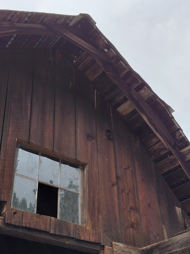 [Thumbnail for 20260319_125132.jpg]