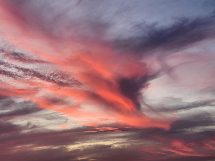 [Thumbnail for 20260314_194633.jpg]