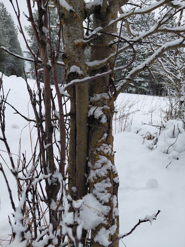 [Thumbnail for 20260316_123920.jpg]