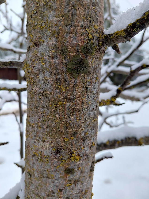 [Thumbnail for 20260316_123930.jpg]