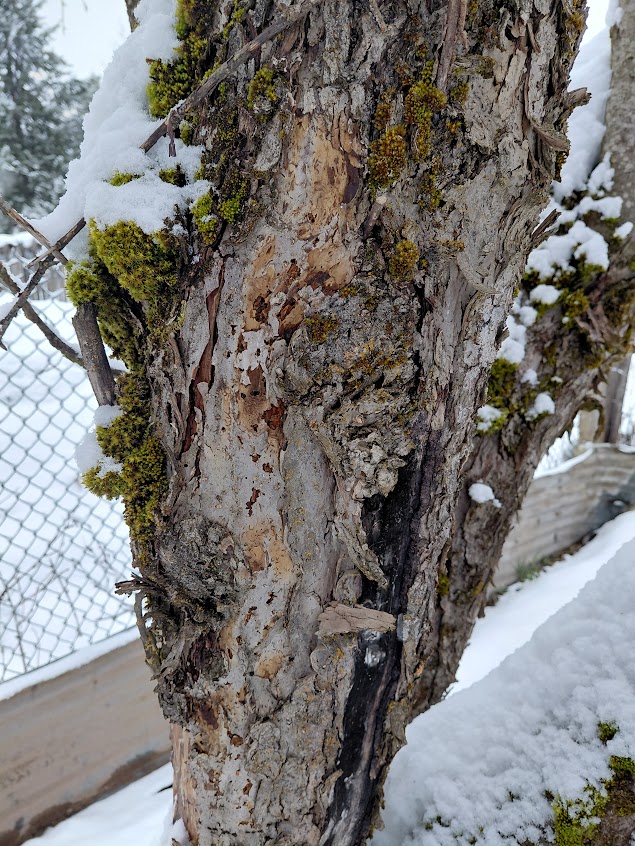 [Thumbnail for 20260316_124049.jpg]