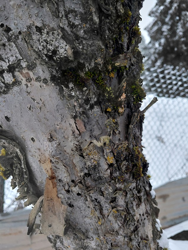 [Thumbnail for 20260316_124055.jpg]