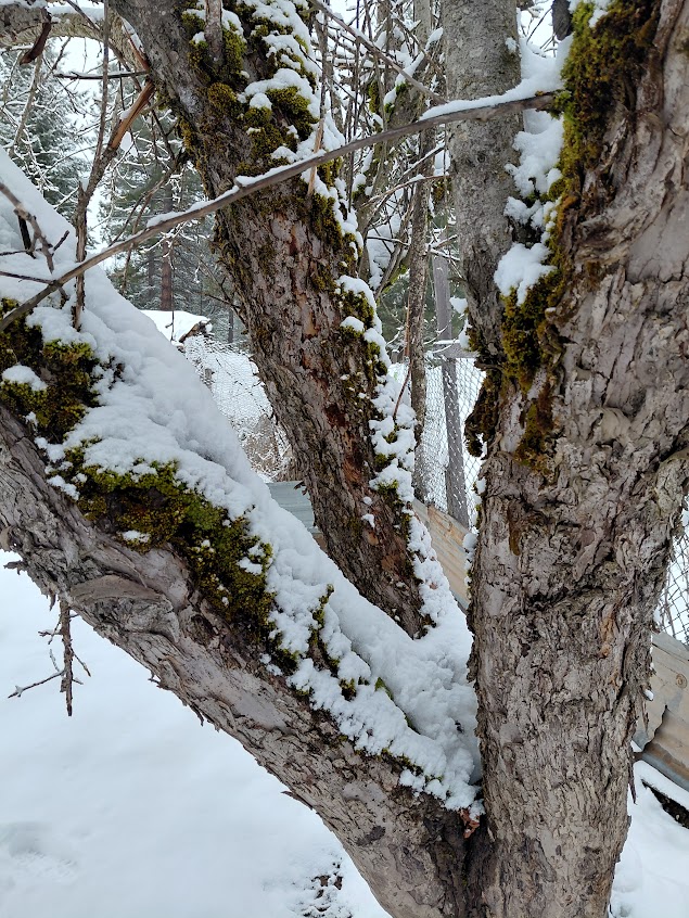 [Thumbnail for 20260316_124105-(1).jpg]