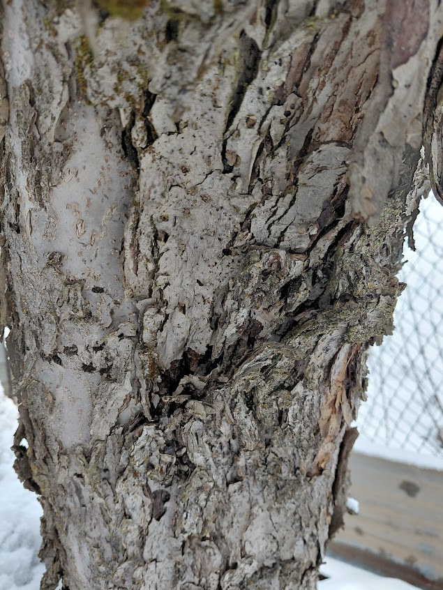 [Thumbnail for 20260316_124120.jpg]