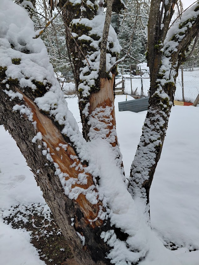 [Thumbnail for 20260316_124141.jpg]