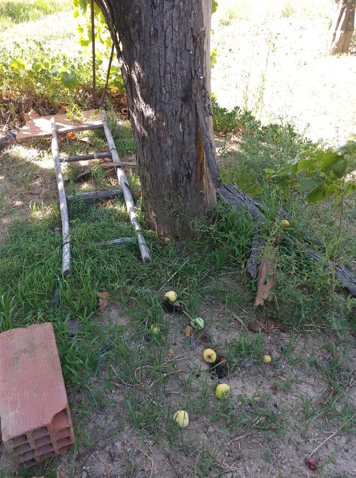 [Thumbnail for 72289113_2736443359701623_8972186049983807488_n.jpg]