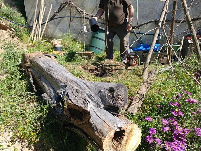 [Thumbnail for 89526522_3094622493883706_7334483031102586880_n.jpg]