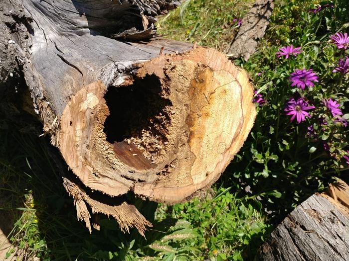 [Thumbnail for 89774081_3094621797217109_3585535915285544960_n.jpg]