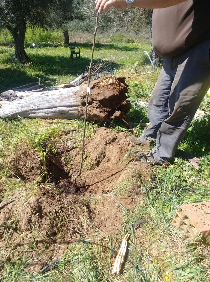 [Thumbnail for 89806143_3094617630550859_7921595998084792320_n.jpg]