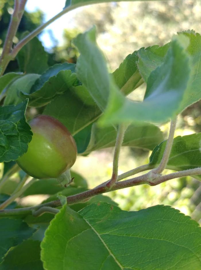 [Thumbnail for 190896982_4327304400615503_6897330164240710841_n.jpg]