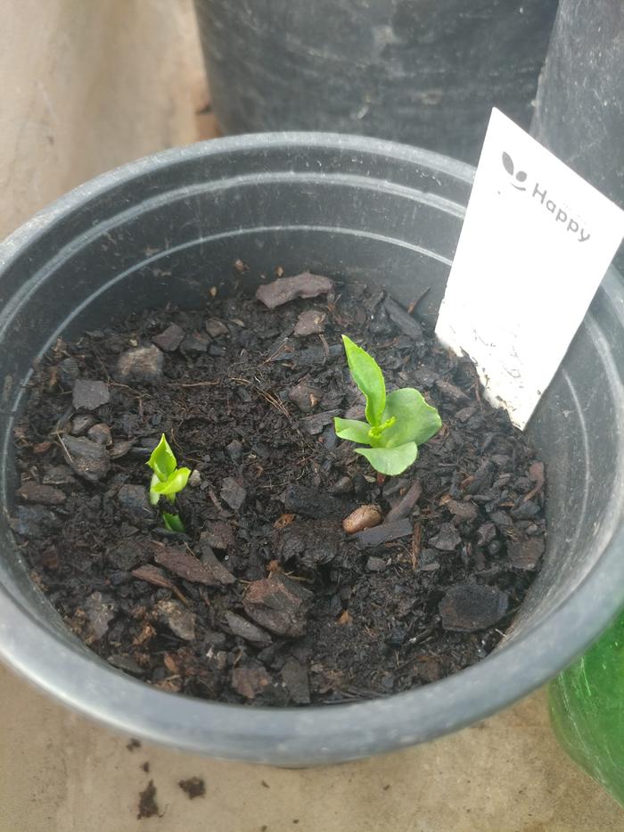 [Thumbnail for 487061031_9889577224388165_4363628445276975684_n.jpg]