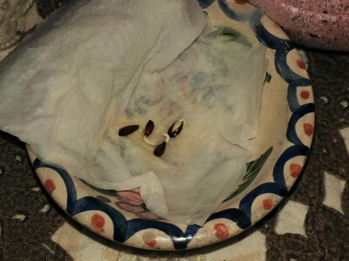 [Thumbnail for 496810317_23968344969418154_9223195675946699083_n.jpg]