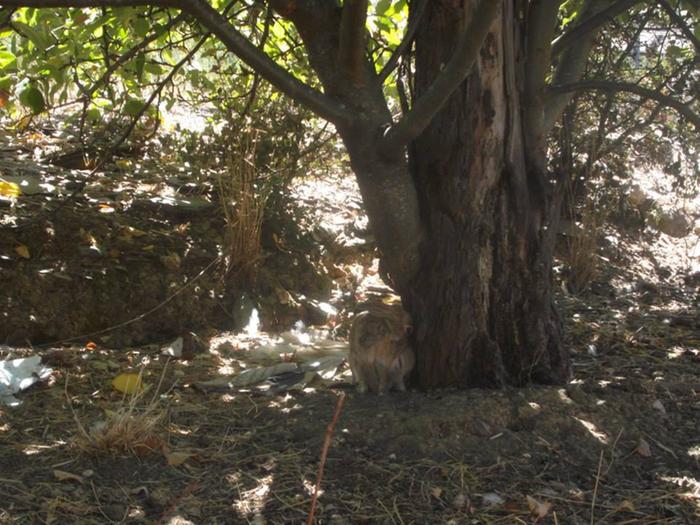 [Thumbnail for 513966173_24354740994111881_7626236103758800854_n.jpg]