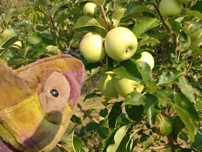 [Thumbnail for thumb-15.jpg]