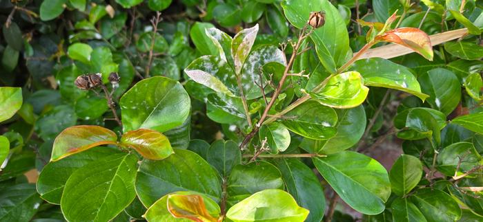 [Thumbnail for 20260316_085652.jpg]