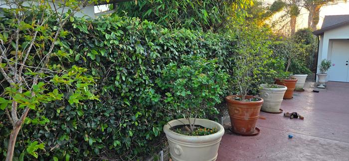 [Thumbnail for 20260316_184433.jpg]