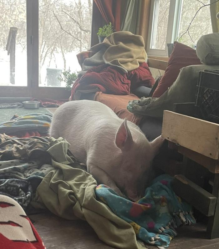 [Thumbnail for Finklin.jpg]